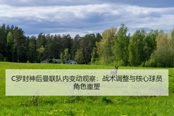 luo-feng-shen-hou-man-lian-dui-nei-bian-dong-guan-cha-zhan-shu-tiao-zheng-yu-he-xin-qiu-yuan-jue-se-zhong-su-2-344.jpg